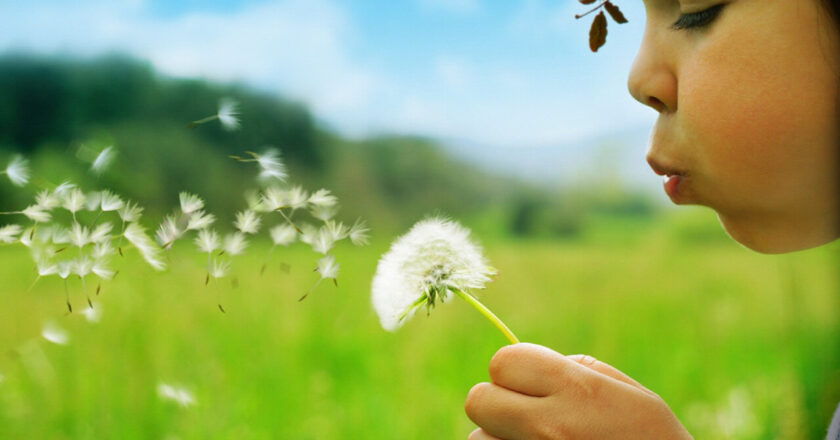 5 coisas para permanecer positivo, quando toda a esperança desapareceu